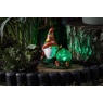 Smart Garden Smart Garden Solar Woodland Wizard