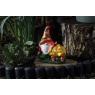 Smart Garden Smart Garden Solar Woodland Wizard