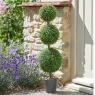 Smart Garden Trio Topiary Tree 80cm