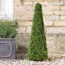 Smart Garden Boxwood Obelisk 90cm