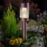 Smart Garden Martini 3L Stake Light Rose Gold, Warm White