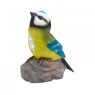 Smart Garden Bird Spots Assortment