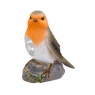 Smart Garden Bird Spots Assortment