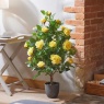 Smart Garden 80cm Regent's Roses - Sunshine Yellow