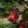 Smart Garden Hare Muse