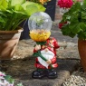 Smart Garden Wonder Wizard Assortment