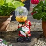 Smart Garden Wonder Wizard Assortment