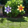 Smart Garden Spinning Blooms Lilac & Lemon Assortment