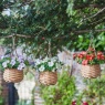 Smart Garden Basket Bouquets - Blossom Assortment
