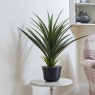 Smart Garden Spiky Sisal Artificial Plant