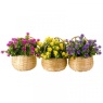 Smart Garden Basket Bouquets - Florets Assortment