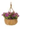 Smart Garden Basket Bouquets - Florets Assortment