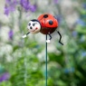 Smart Garden Ladybug Loony Stakes Assortment