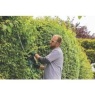 Bosch AdvancedHedgeCut 65 Hedge Trimmer