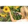 Bosch EasyPrune Cordless Secateurs