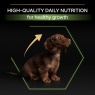 Pro Plan Small & Mini Puppy Healthy Start Chicken Dry Dog Food - 3kg