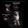 Pro Plan Medium Puppy Sensitive Skin Salmon Dry Dog Food - 3kg