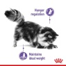 Royal Canin Appetite Control Care - 2kg