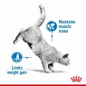 Royal Canin Royal Canin Light Weight Care - 3kg