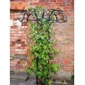 Poppy Forge Large Tuteur