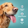 Burns Burns Original Fish & Brown Rice Dry Dog Food - 12kg