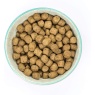 Burns Adult Dog Alert Chicken & Brown Rice Dry Food - 12kg