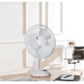 Daewoo COL1567GE 12-inch Desk Fan
