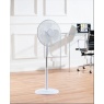 Daewoo COL1568GE 16-Inch Pedestal Fan