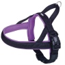 Nobby Neoprene 'Mesh Preno' Harness