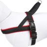 Nobby Neoprene 'Mesh Preno' Harness