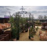Poppy Forge 6 Sided Gazebo With Side Panels & Weathervane