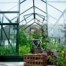 Halls Greenhouses Popular