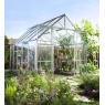 Halls Greenhouses Magnum