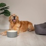 Scruffs Classic Dog Water Bowl - Grey