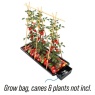 AutoPot Tray2Grow 5-in-1 Automatic Plant Watering System