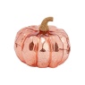 Smart Garden InLit Golden Pumpkin Regular