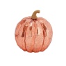 Smart Garden InLit Golden Pumpkin Large