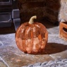 Smart Garden InLit Golden Pumpkin Large