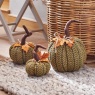 Smart Garden PlushPumpkin