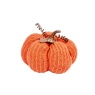 Smart Garden DecorPumpkin Small