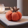 Smart Garden DecorPumpkin Small