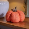 Smart Garden DecorPumpkin XL