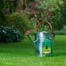 Miracle-Gro EverGreen Fast Green Liquid Concentrate 1 Litre