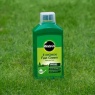 Miracle-Gro EverGreen Fast Green Liquid Concentrate 1 Litre