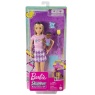 Barbie Skipper Babysitters Inc Dolls And Accessories Assortment