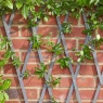 Smart Garden Heavy Duty Expanding Trellis - Slate Grey, 1.8mx0.3m