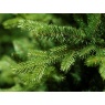 Kaemingk Allison Pine Artificial Christmas Tree