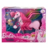 Barbie A Touch Of Magic Pegasus And Accessories Boxed Image