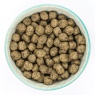 Burns Sensitive Grain Free Adult/Senior Dog Food Turkey & Potato - 2kg