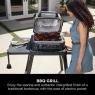 Ninja OG850UK Woodfire Pro XL Electric BBQ Grill & Smoker - Black/Grey